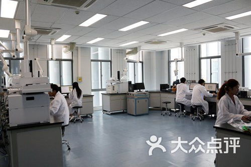 武漢市政科技信息研發(fā)中心生物科技培訓(xùn)課程 價(jià)格、簡介與學(xué)習(xí)體驗(yàn)全解析